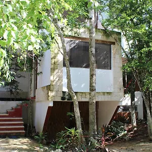 Casa Del Arbol At Duendes Luxury tent Akumal